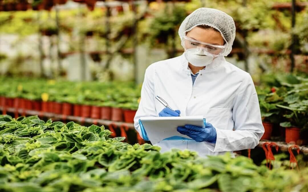 Future of Food Security: How Irradiation Method of Food Preservation Supports Make in India Initiative